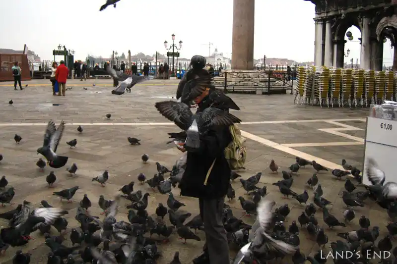 ヴェネツィア、サン・マルコ広場でハトとたわむれる